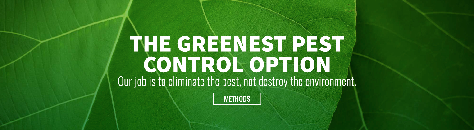 Environmental Pest Control Green Piper Grande Prairie