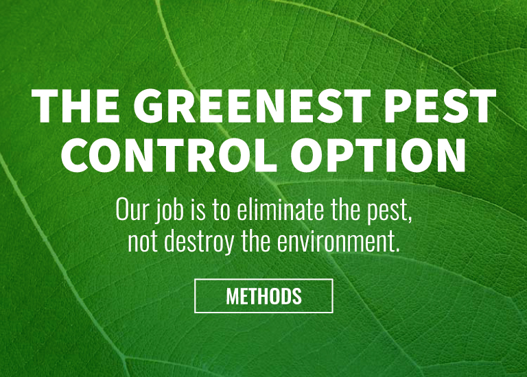 Environmental Pest Control Green Piper Grande Prairie