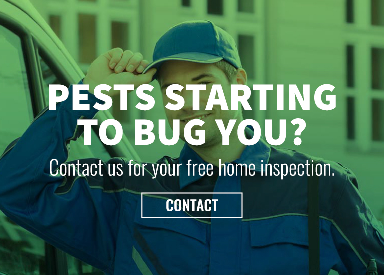 Pest Control Free Consultations Green Piper Grande Prairie