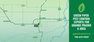 Green Piper Pest Control photo 6